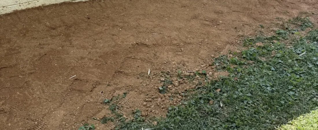 Water Management: Re-Grading and Exterior Drainage